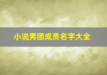 小说男团成员名字大全