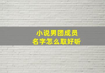 小说男团成员名字怎么取好听