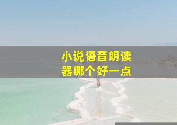 小说语音朗读器哪个好一点