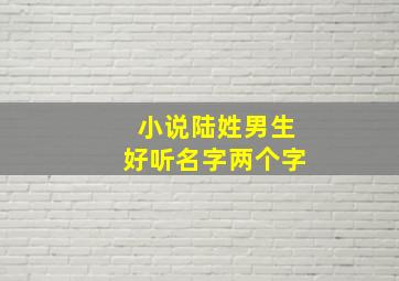 小说陆姓男生好听名字两个字