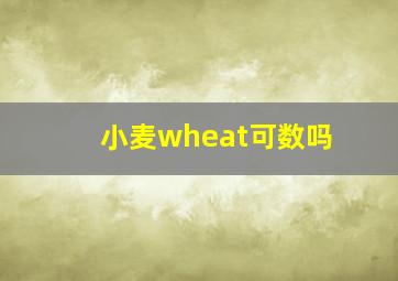 小麦wheat可数吗