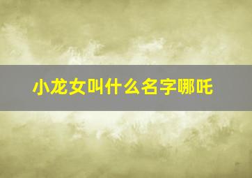 小龙女叫什么名字哪吒