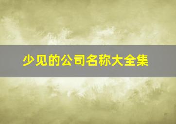 少见的公司名称大全集