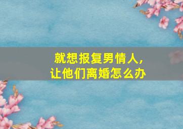 就想报复男情人,让他们离婚怎么办