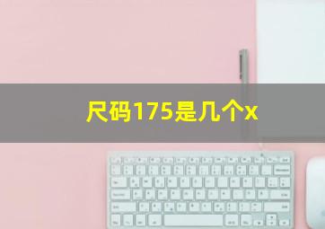 尺码175是几个x