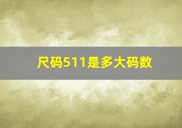 尺码511是多大码数