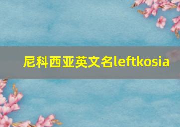 尼科西亚英文名leftkosia