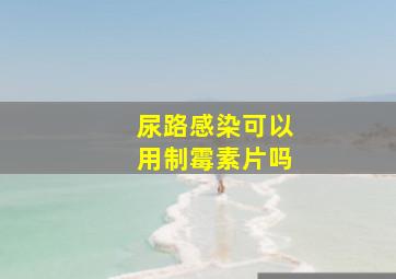 尿路感染可以用制霉素片吗