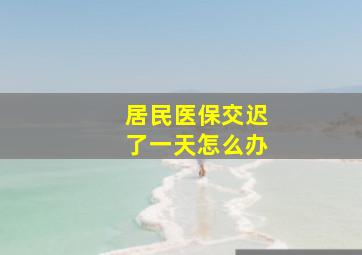 居民医保交迟了一天怎么办