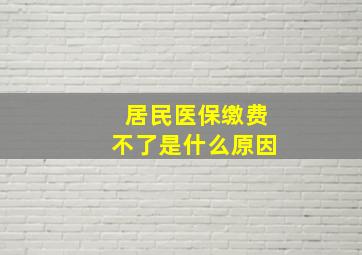 居民医保缴费不了是什么原因