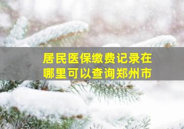 居民医保缴费记录在哪里可以查询郑州市