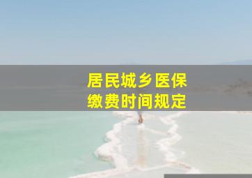 居民城乡医保缴费时间规定