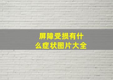 屏障受损有什么症状图片大全