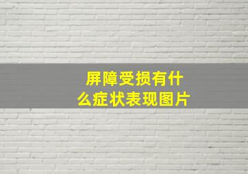 屏障受损有什么症状表现图片