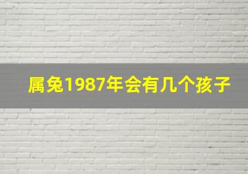 属兔1987年会有几个孩子