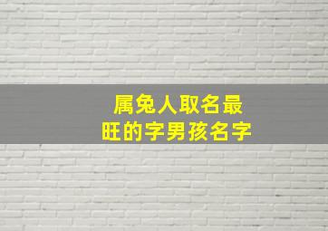 属兔人取名最旺的字男孩名字