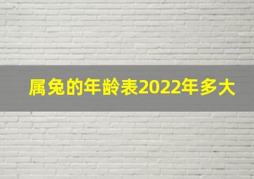 属兔的年龄表2022年多大