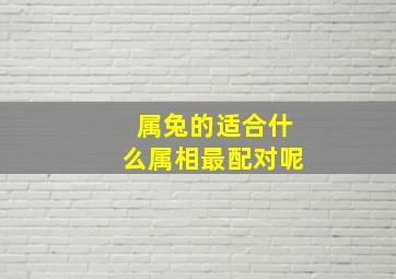 属兔的适合什么属相最配对呢