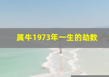 属牛1973年一生的劫数