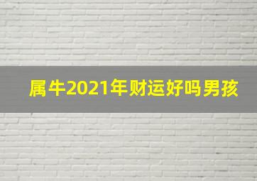 属牛2021年财运好吗男孩