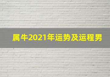 属牛2021年运势及运程男