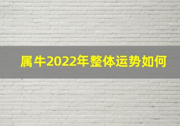 属牛2022年整体运势如何