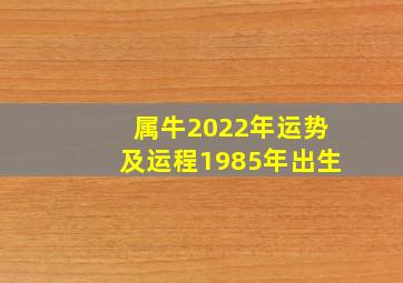 属牛2022年运势及运程1985年出生