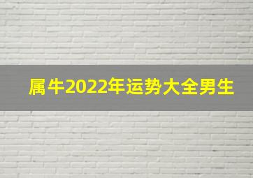 属牛2022年运势大全男生