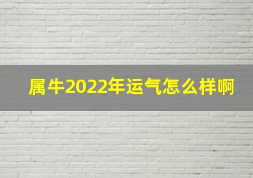 属牛2022年运气怎么样啊