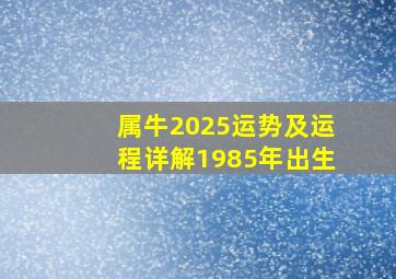 属牛2025运势及运程详解1985年出生