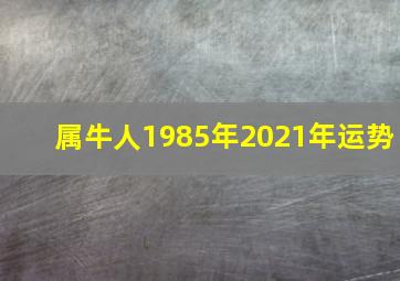 属牛人1985年2021年运势