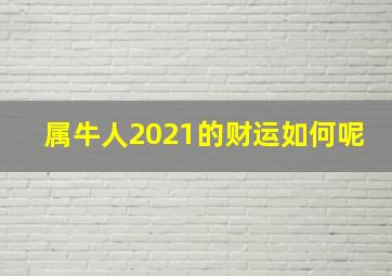 属牛人2021的财运如何呢