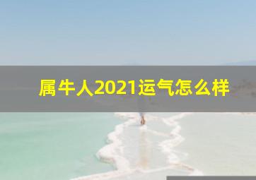 属牛人2021运气怎么样