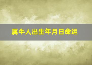 属牛人出生年月日命运