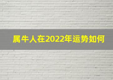 属牛人在2022年运势如何