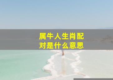 属牛人生肖配对是什么意思