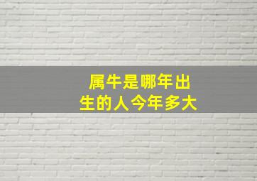 属牛是哪年出生的人今年多大