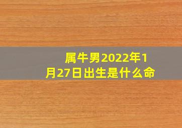 属牛男2022年1月27日出生是什么命