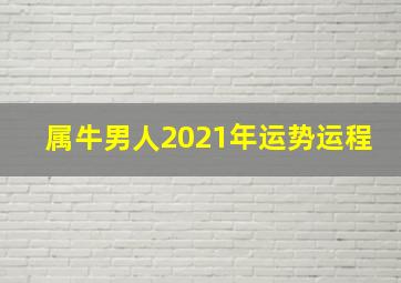 属牛男人2021年运势运程