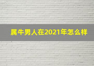 属牛男人在2021年怎么样