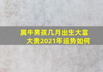 属牛男孩几月出生大富大贵2021年运势如何