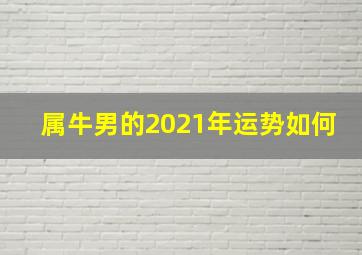 属牛男的2021年运势如何