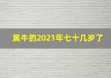 属牛的2021年七十几岁了