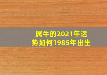 属牛的2021年运势如何1985年出生