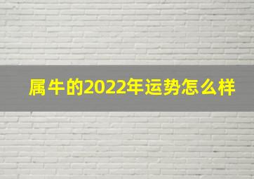 属牛的2022年运势怎么样