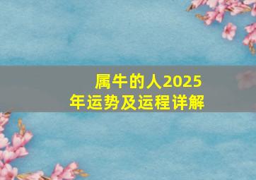 属牛的人2025年运势及运程详解