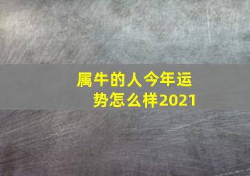 属牛的人今年运势怎么样2021