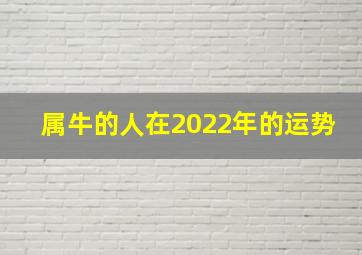 属牛的人在2022年的运势