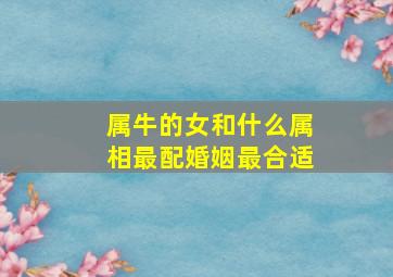 属牛的女和什么属相最配婚姻最合适