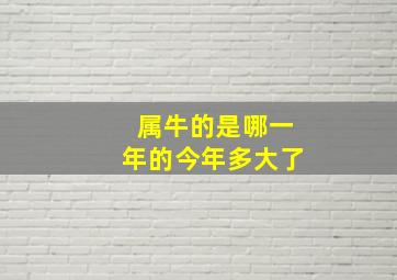 属牛的是哪一年的今年多大了